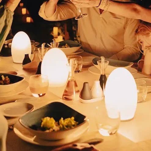 Egg LED Table Lamp for wholesale by Smart and Green USA