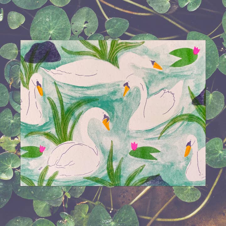 mad dog studio - Wholesale Art Print - Swan Pond
