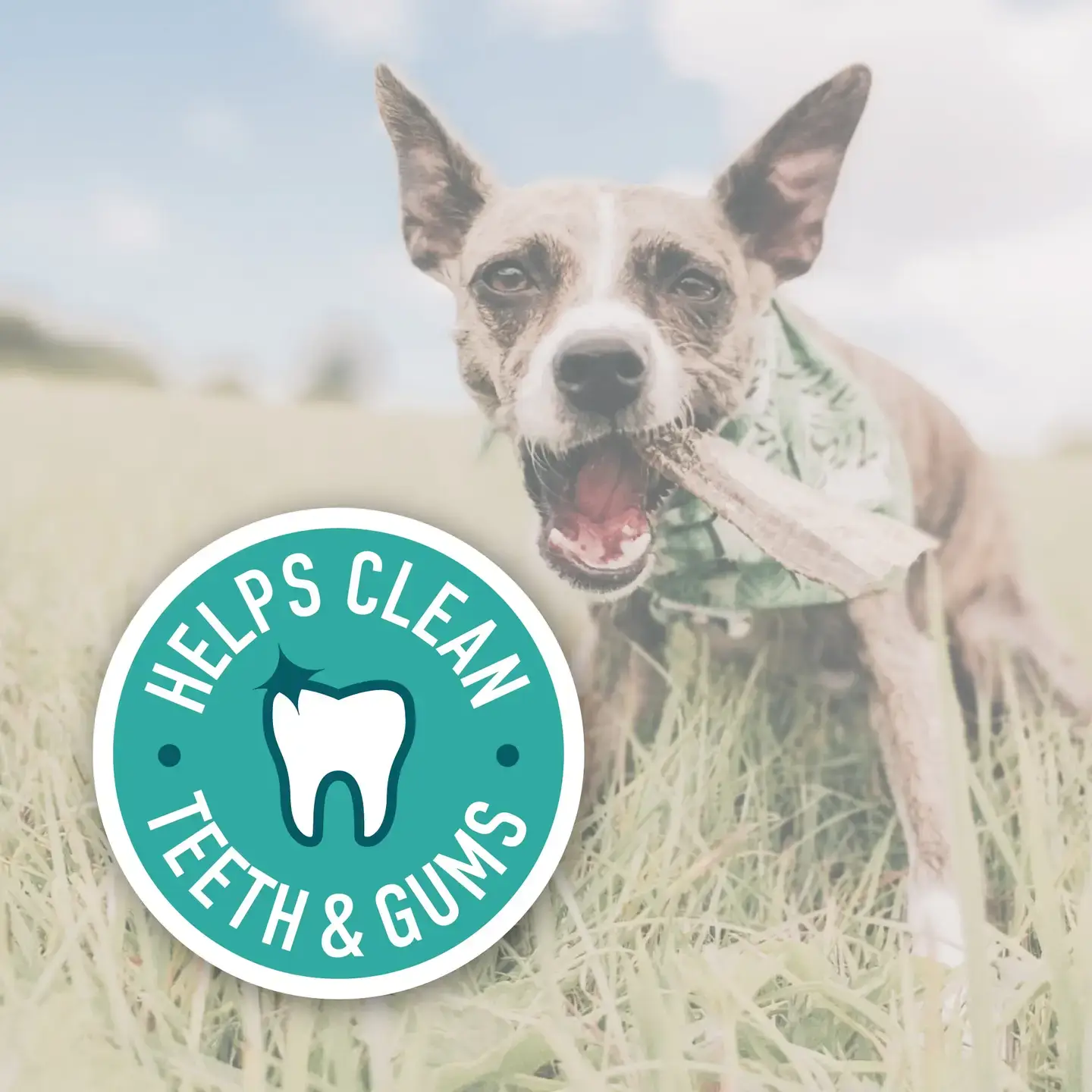 Goodchap's - Wholesale Hondenkoekjes - Hond - Visvelvingers | CDU van 14 verpakkingen9