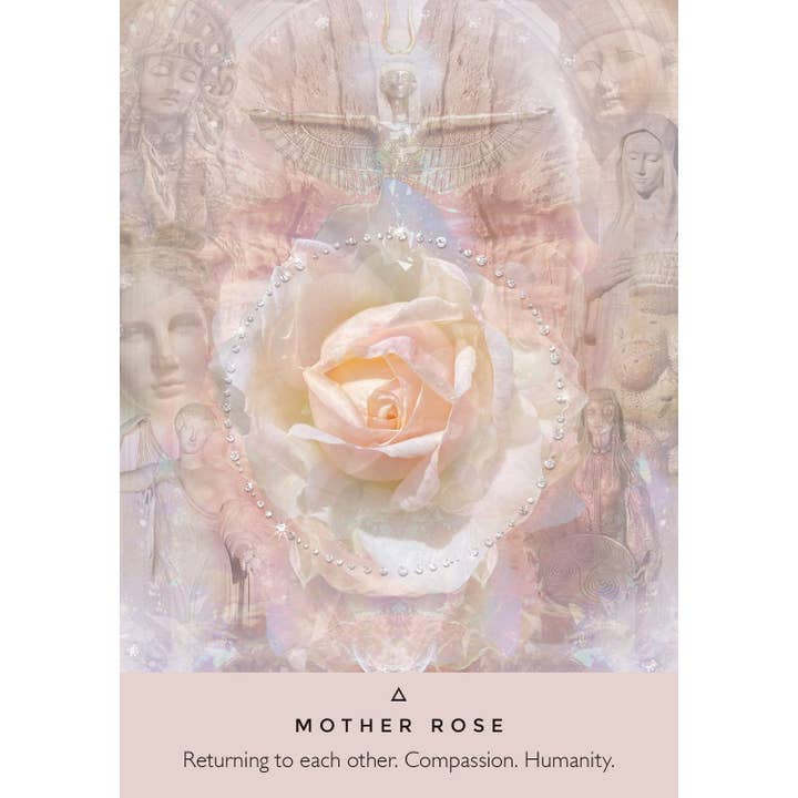 Cardshouse - Wholesale Tarot Cards - Rose Oracle Cards Hay House5