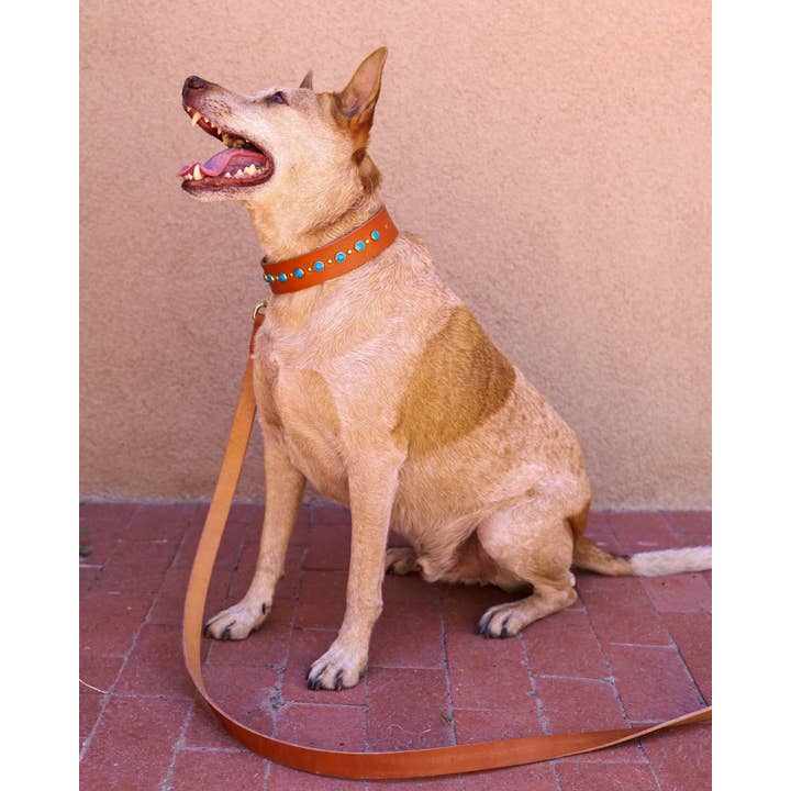 Mimi Green - Wholesale Pet Collar - Dog - Turquoise Studded Leather Dog Collar Belt Buckle – Billy1