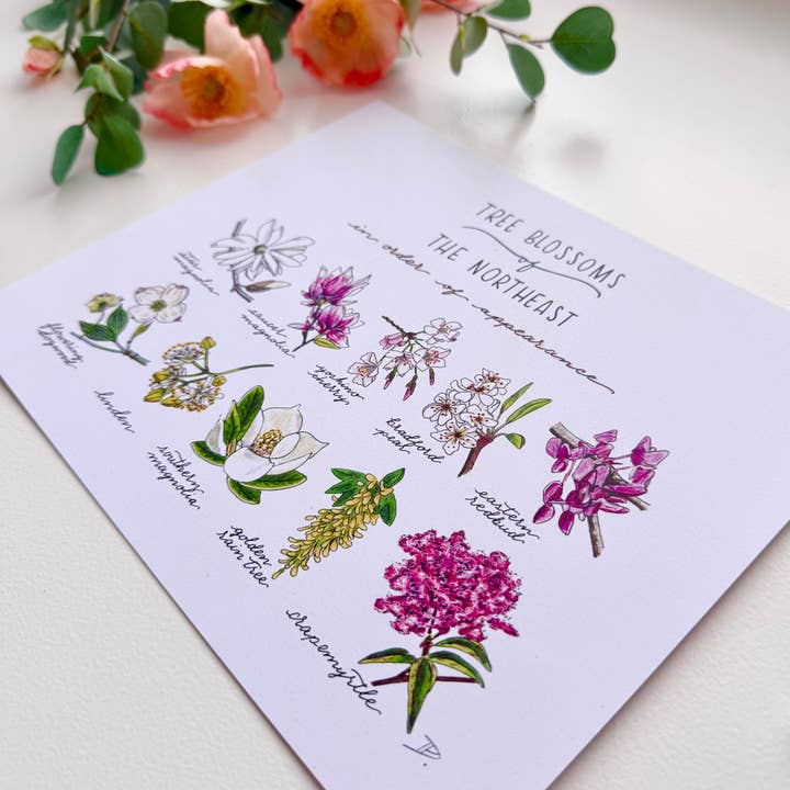 D. Prince Designs - Wholesale Art Print - Tree Blossoms of the Northeast | Recycled Cardstock Print2