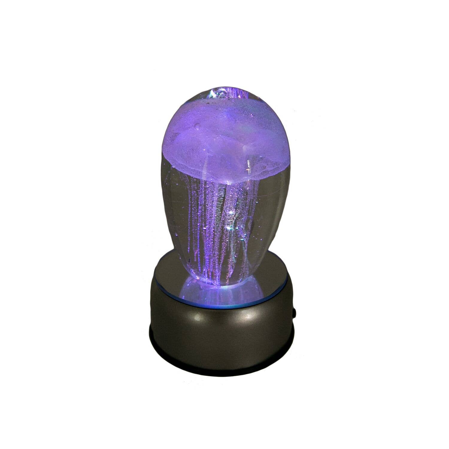 Beachcombers - Wholesale Decorative Tabletop Object - SALE 4 Color Rotating Base0