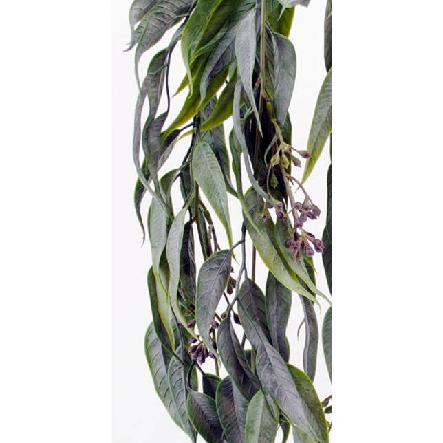 Will's Company - Wholesale Artificial Plant - Seeded Eucalyptus Hanging Vine - 30"
