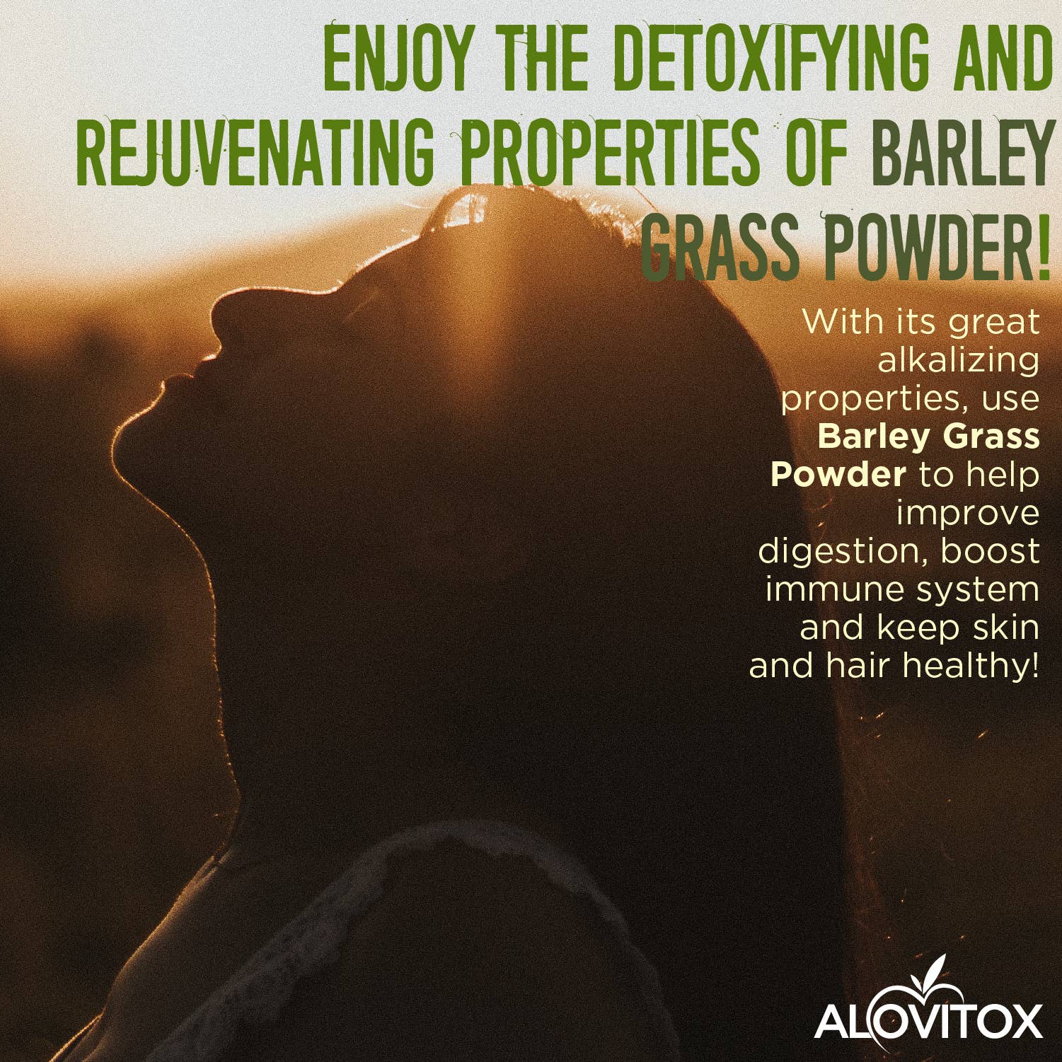 Alovitox - Vendita all'ingrosso Proteine/superfood in polvere - Succo di erba d'orzo certificato biologico in polvere6