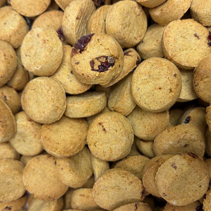 Pumpkin Yogurt - 20lb Bulk for wholesale by Pro Bakery Bites by Ag-Alchemy