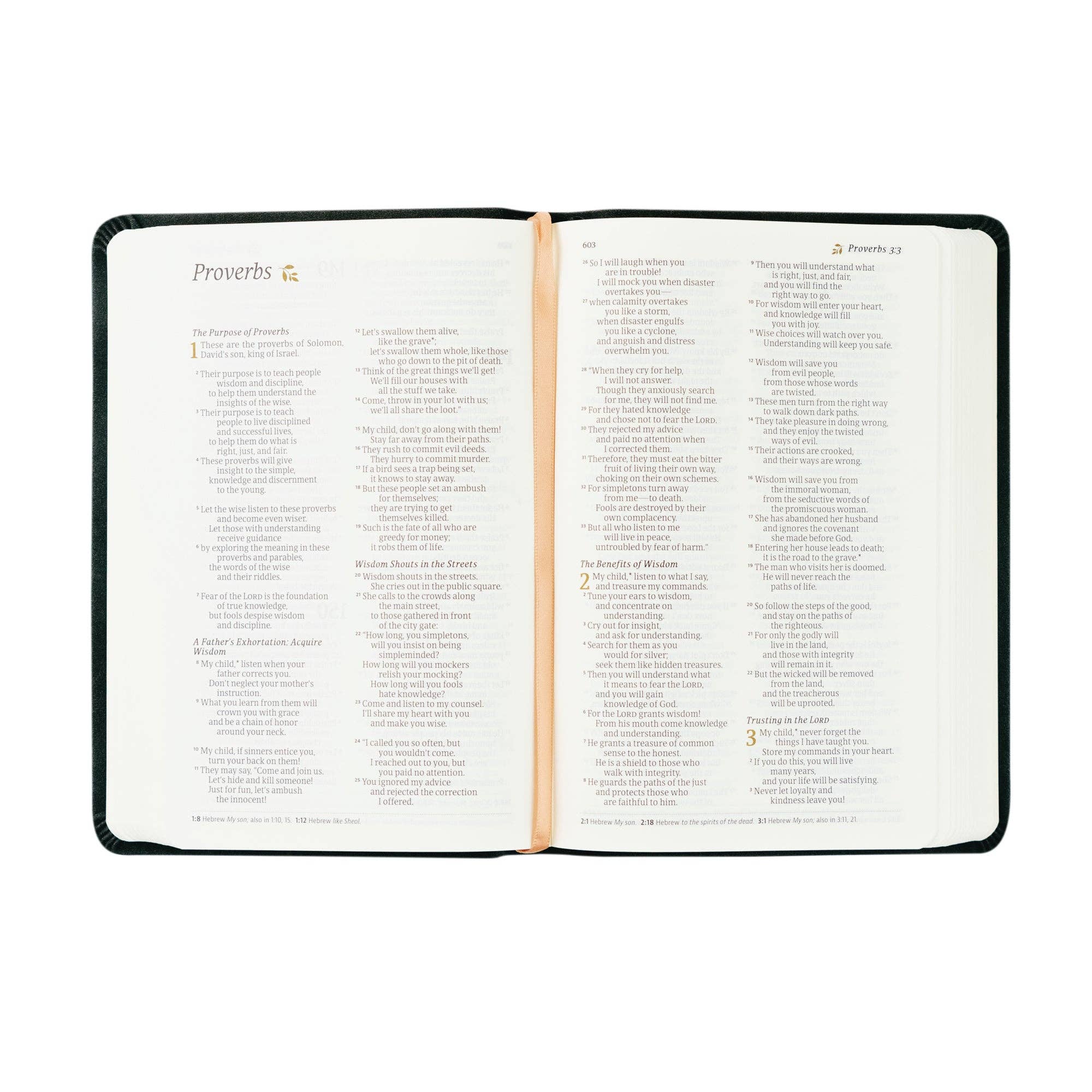 Hosanna Revival - Wholesale Religion Book - NLT Compact Bible: Jerusalem Theme4