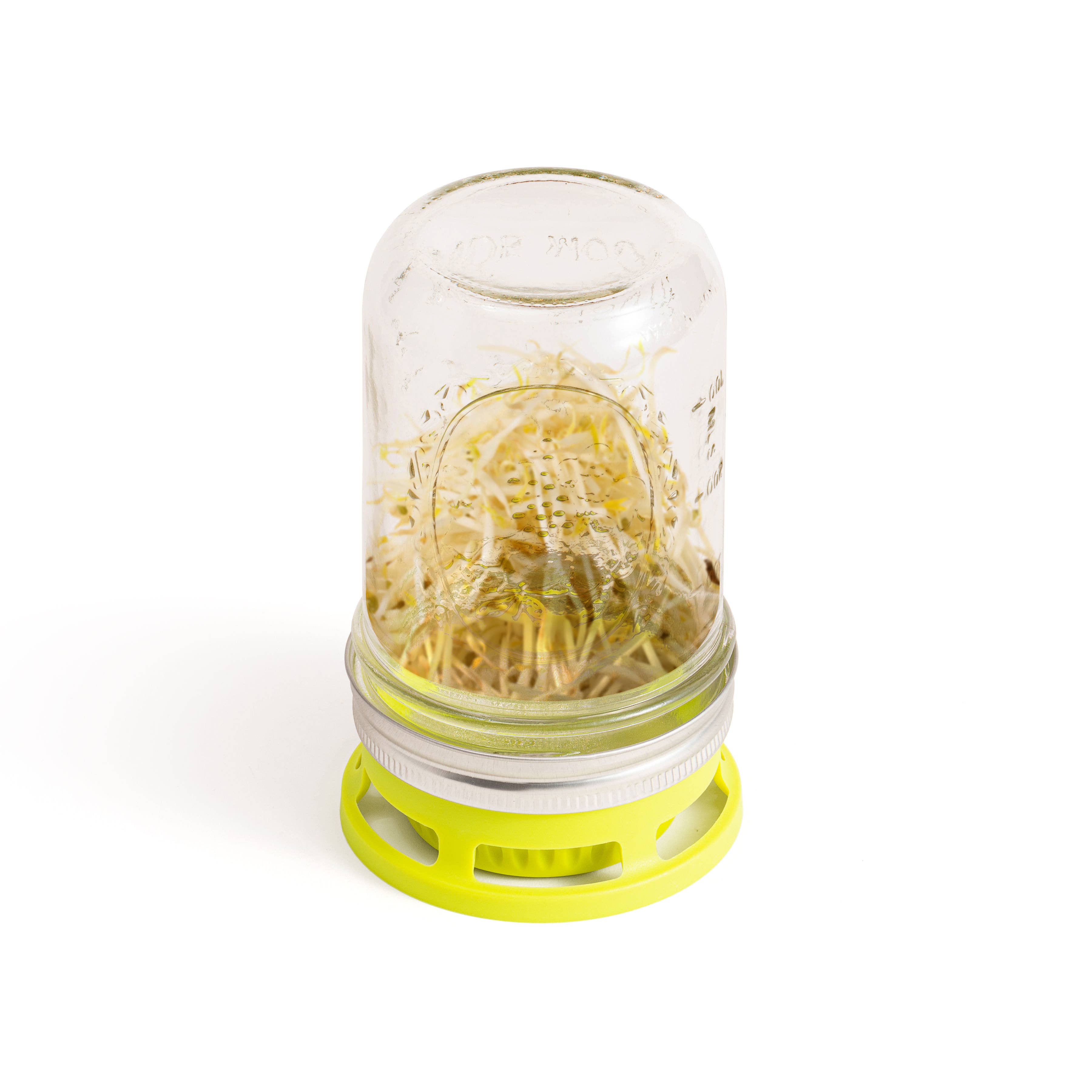 Fox Run Brands – wholesale Plant seeds – Jarware Seed Sprouter Lid for Wide Mouth Mason Jar3