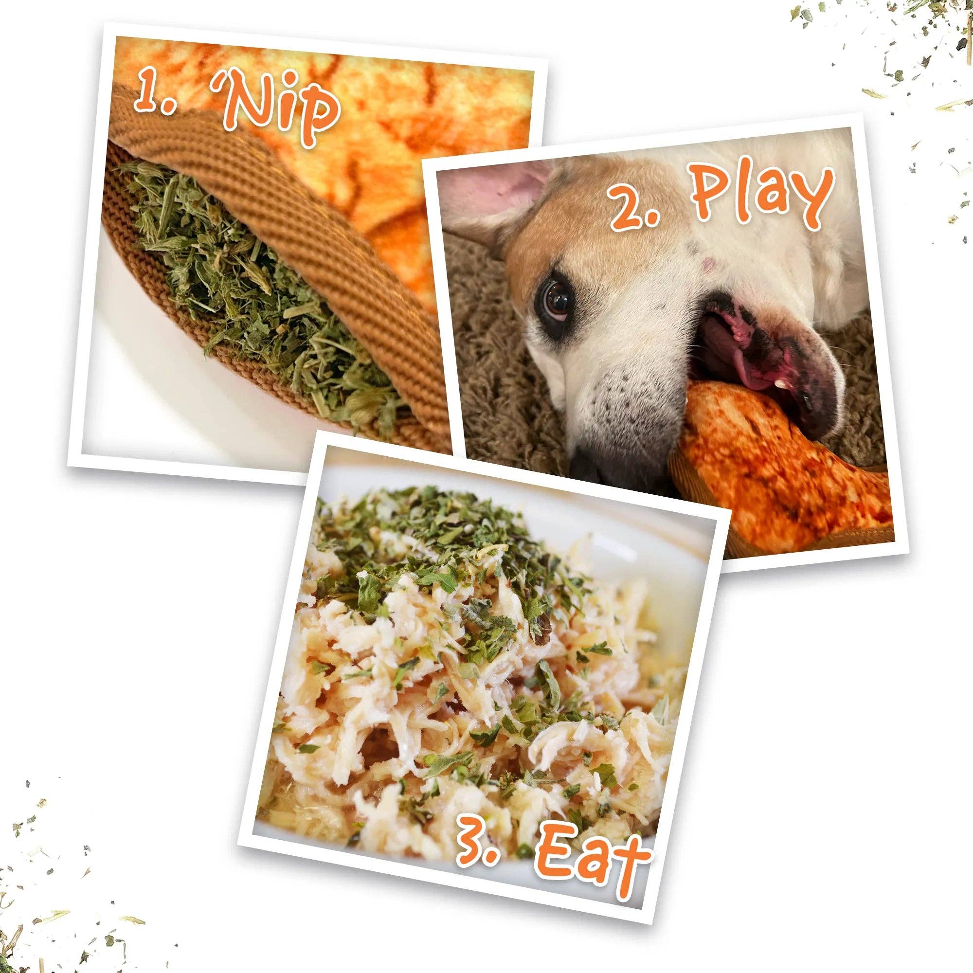 SmarterPaw | Meowijuana & Doggijuana - Wholesale Pet Chew Toy - Dog - Doggijuana® Tuffer Chewer Mini Chicken Wing Dog Toy4