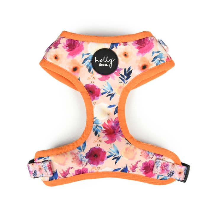 Holly and Co Australia Pty Ltd - Wholesale Pet Harness - Dog - Dog Harness // Sweet Coraline