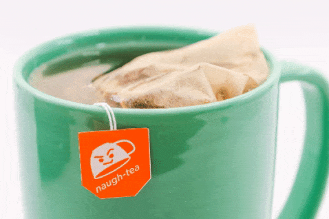 The Whistling Kettle - Wholesale Tea Bags - Loose Leaf Paper Tea Bags1