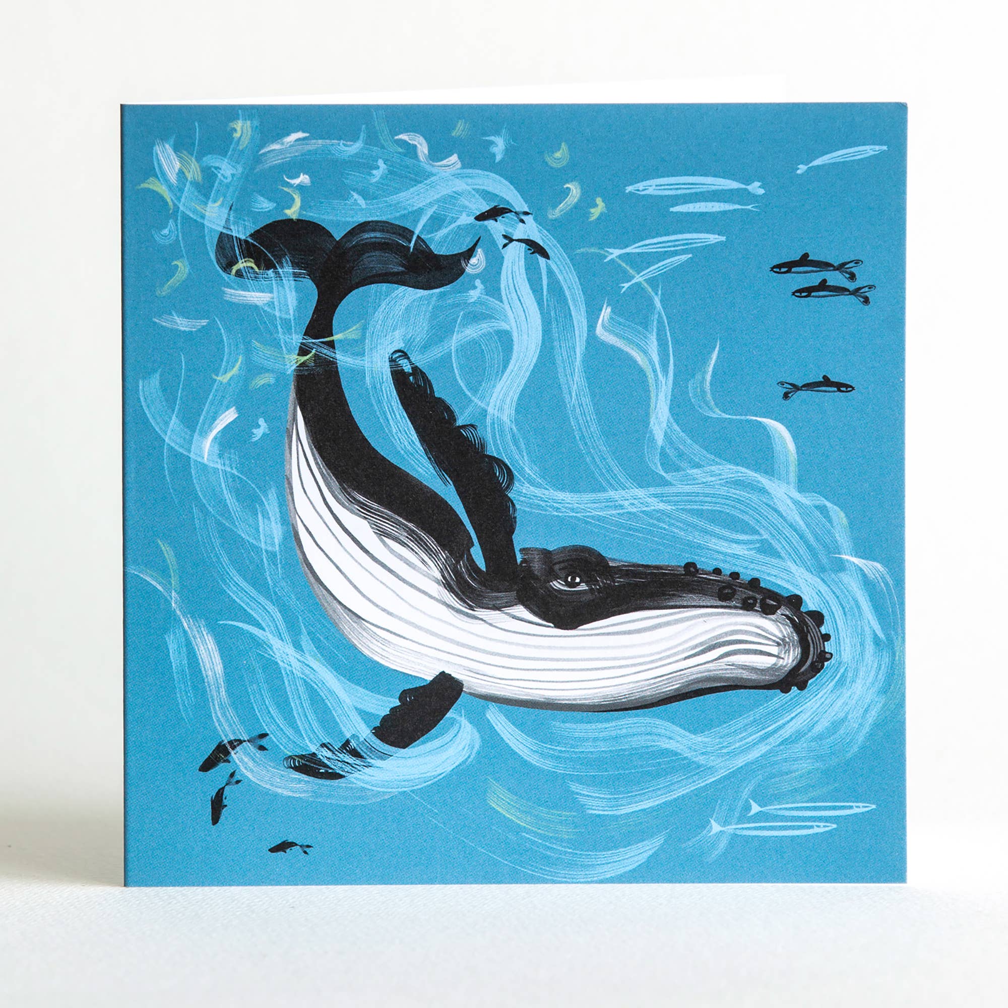 Lydia. London – wholesale Everyday greeting card – SEA OUR OCEANS 'HUMPBACK WHALE' CARD2