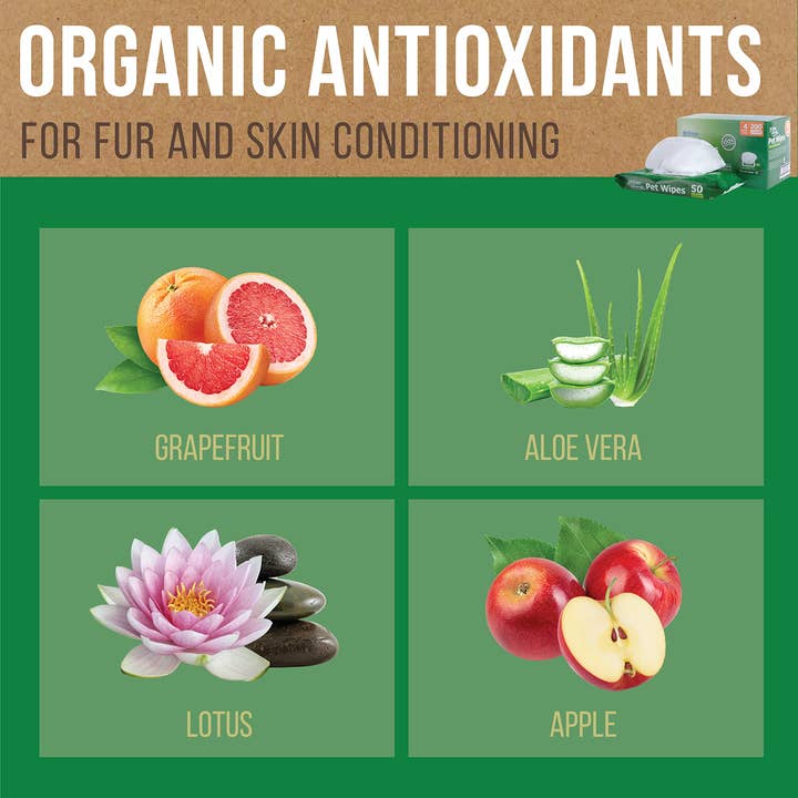 Inspire - Vendita all'ingrosso Strumento per la toelettatura del pelo - Cani - Salviette per animali domestici Inspire Naturals, confezione da 505