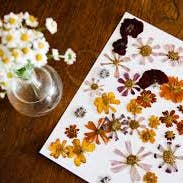 Ley Amber Collective - Wholesale DIY Craft Kit - DIY Resin Floral Keychain Kit1