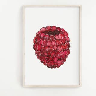 Imprimé framboise pour la vente par Jennie Kilcup Watercolors