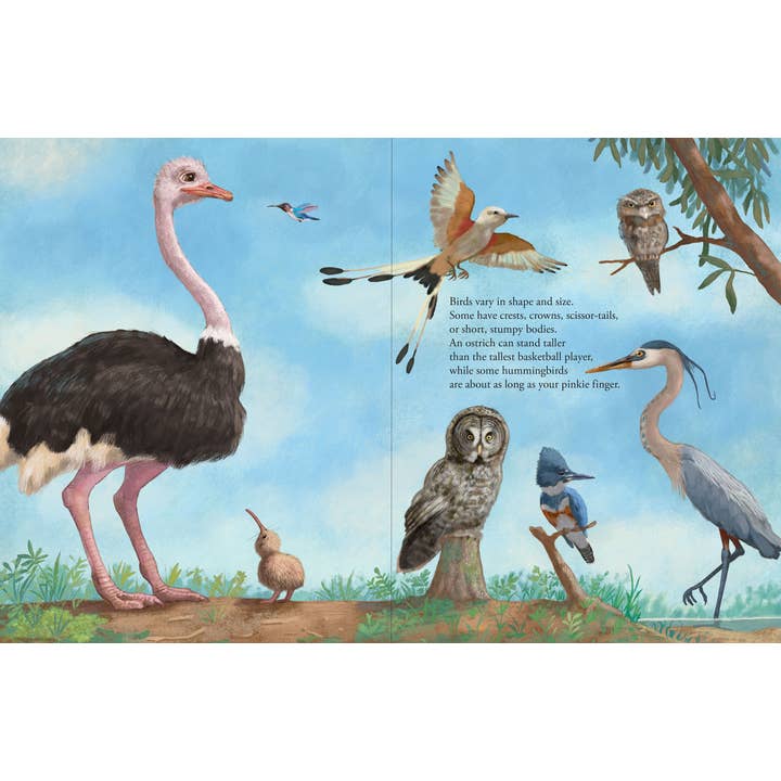 Peter Pauper Press - Wholesale Preschool Book (3-5) - All the Birds in the World2