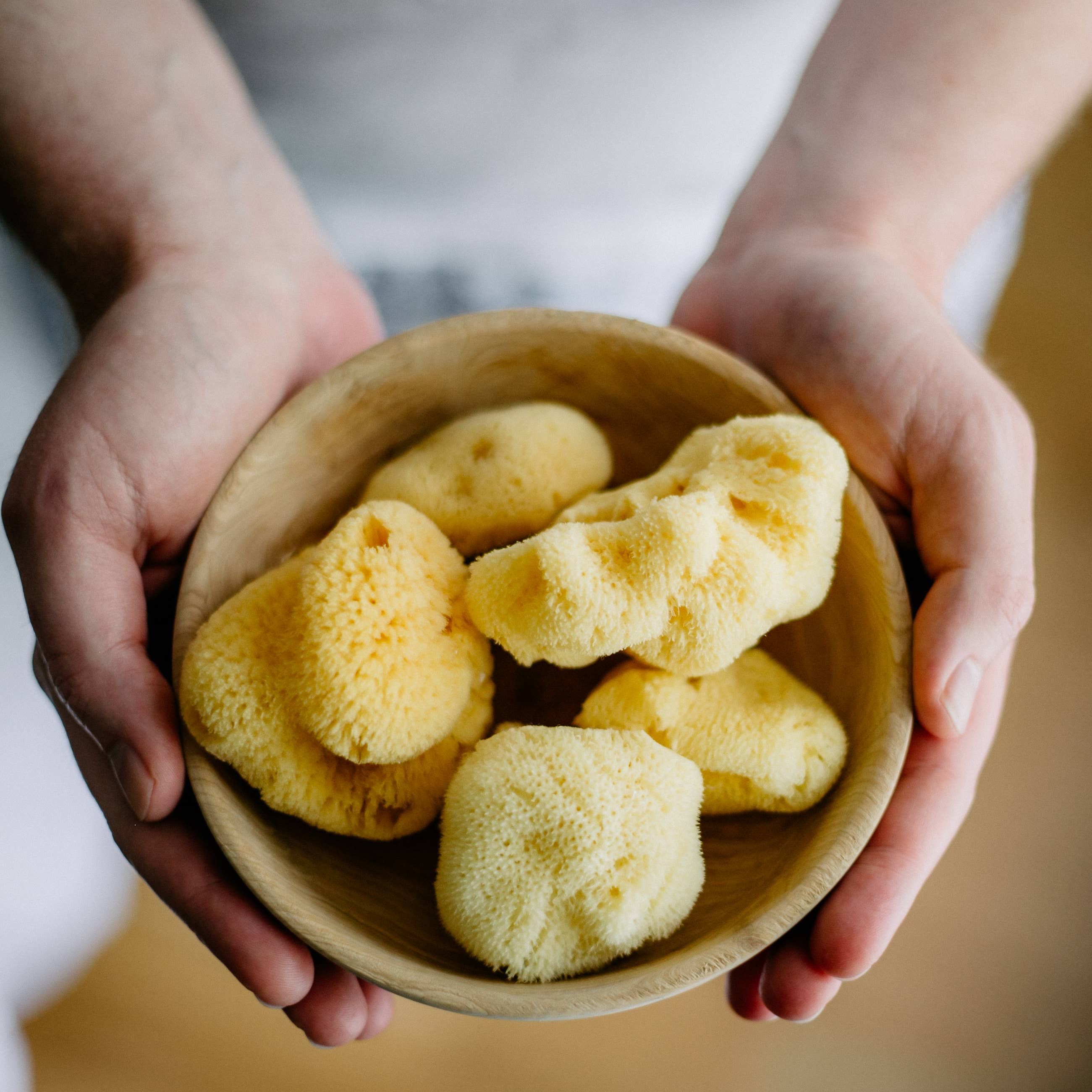 Croll & Denecke - Wholesale Bath Pouf/Sponge - Face sponge natural in gift box, spa sea2