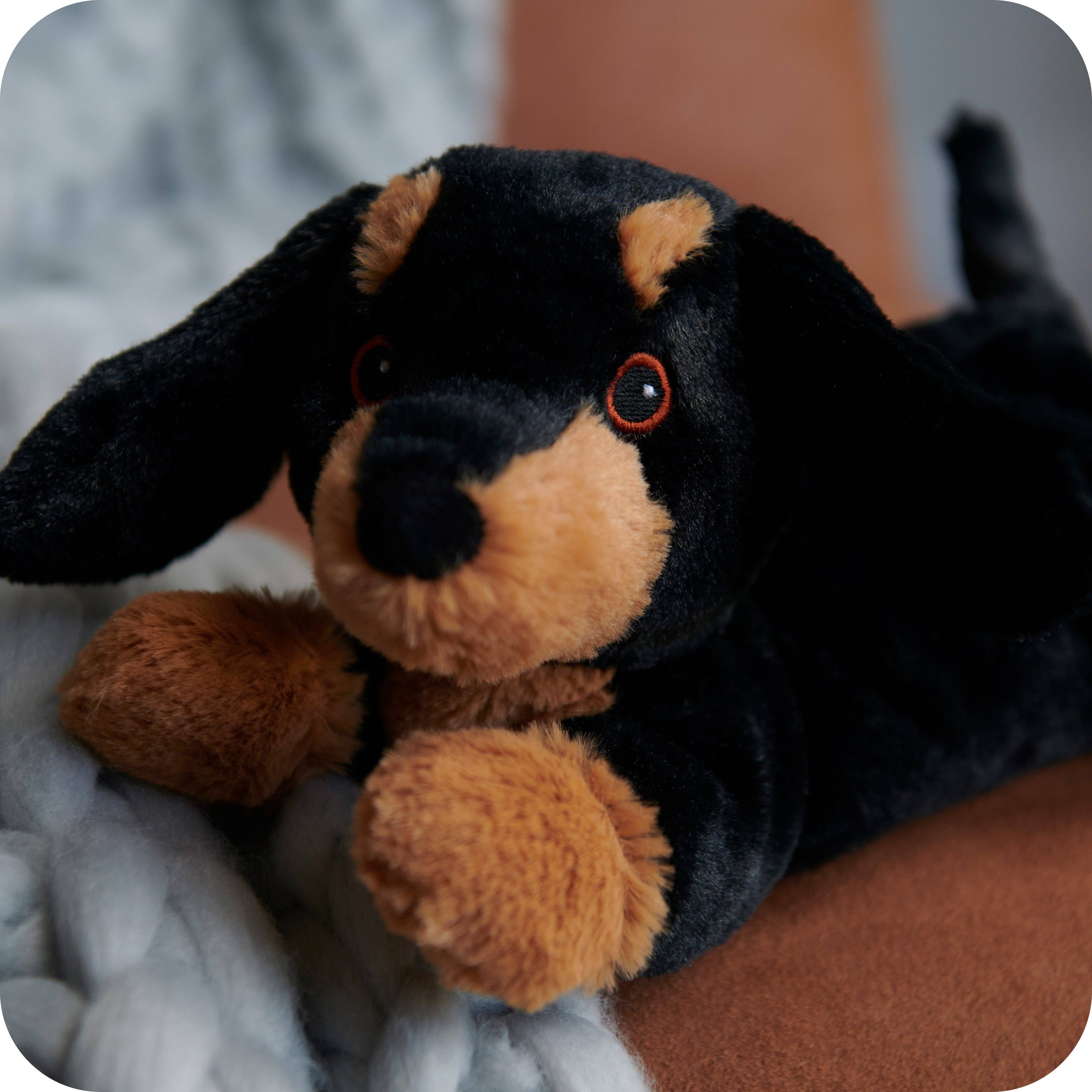 Warmies - Wholesale Stuffed/Plush Toy - Kids & Baby - Warmies Dachshund7