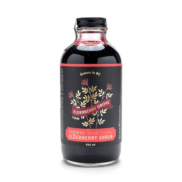 Arbuste de sureau, certifié biologique pour la vente par Elderberry Grove Farm