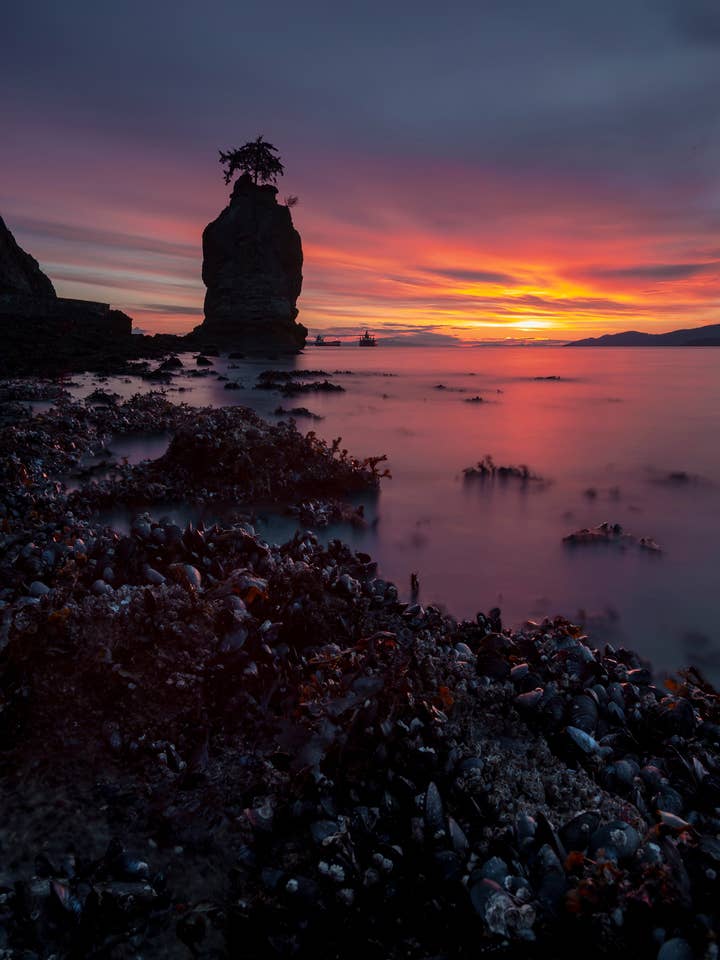 Pôster de Vancouver - Onde vive a magia por atacado de Posters & Puzzles