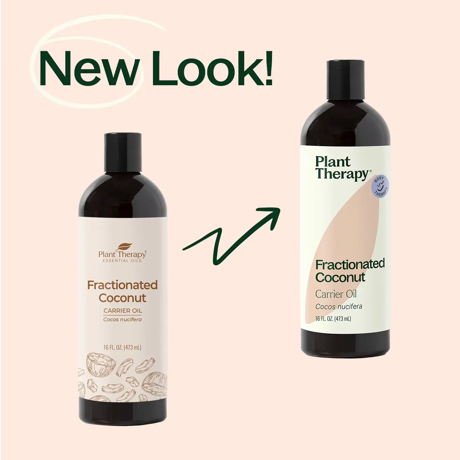 Plant Therapy - Vendita all'ingrosso Olio bagno/corpo - Olio vettore di cocco frazionato 473 ml4