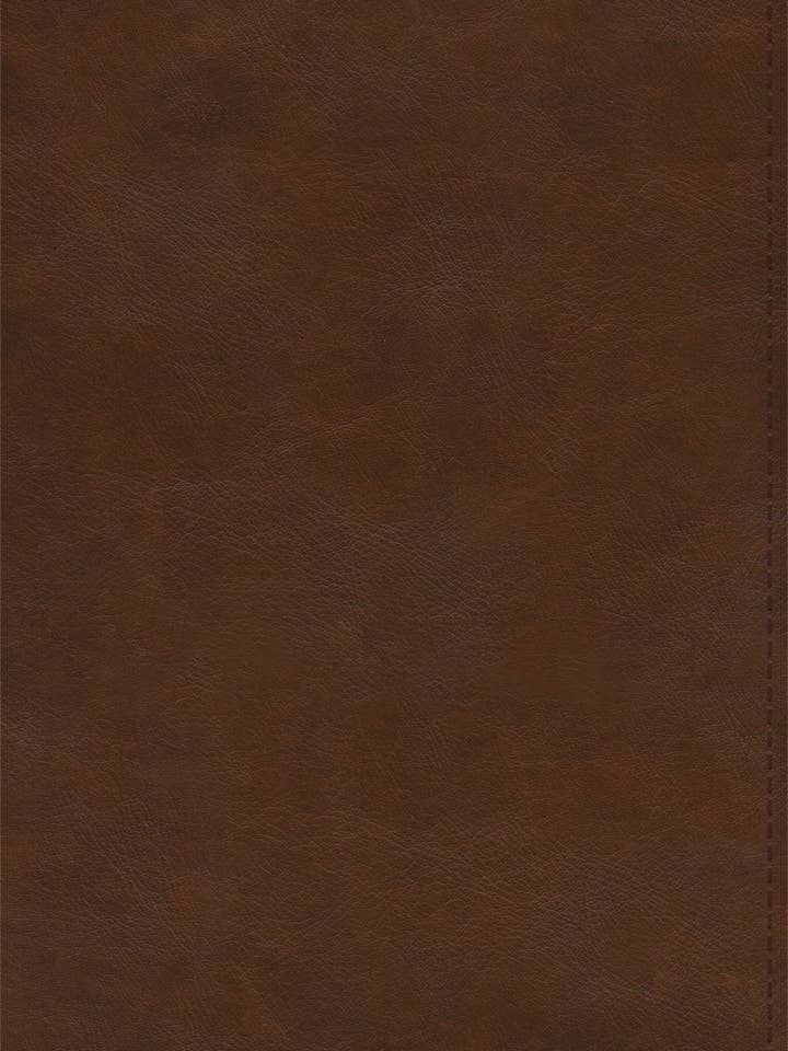 ESV Spanish/English Parallel (TT,Brown) for wholesale by Crossway