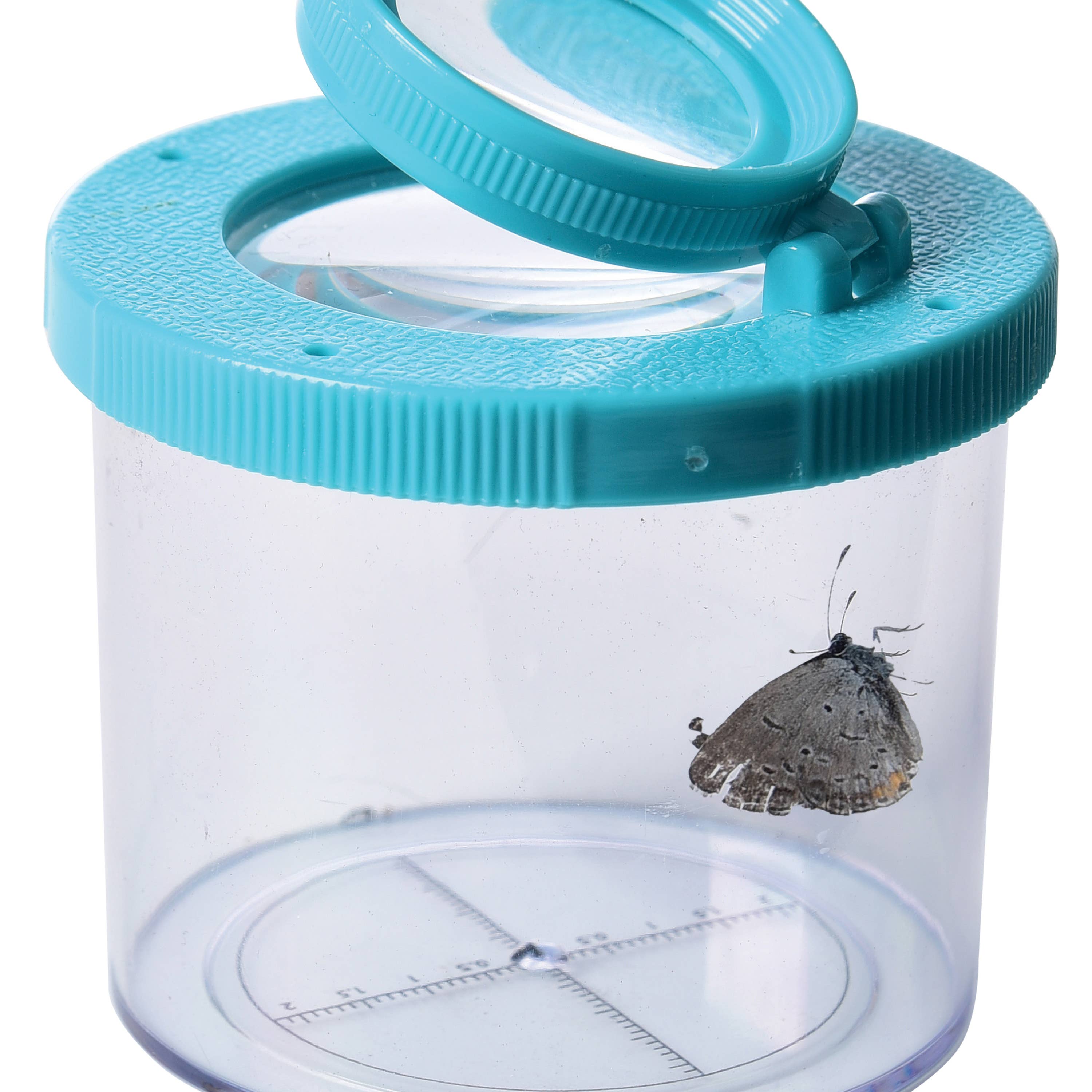 US Toy Company - Wholesale Retailer Display - Kids & Baby - Bug Viewer 12-unit Display2