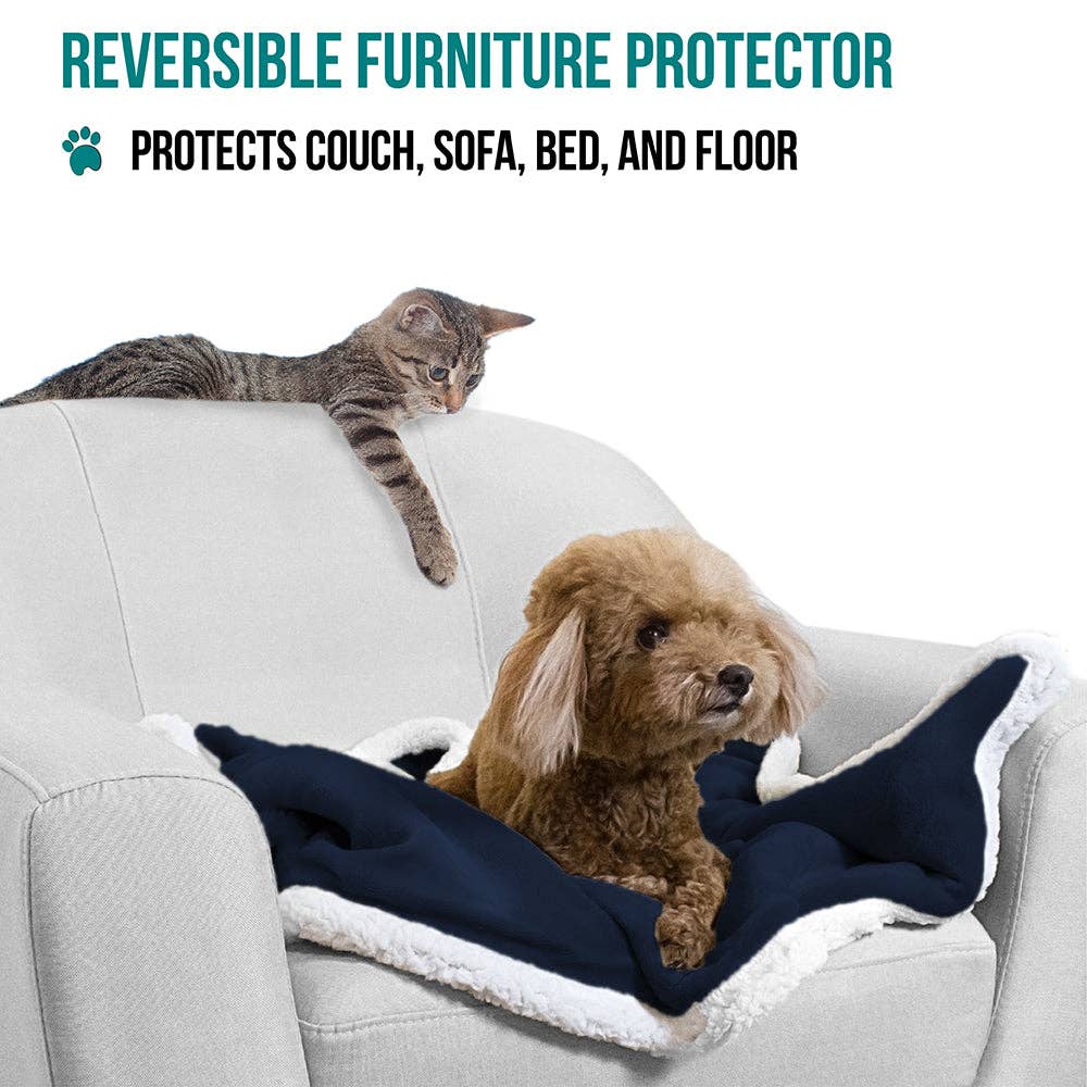 PetAmi - Vente Couverture – chat et chien - Couverture pour animaux en polaire réversible22