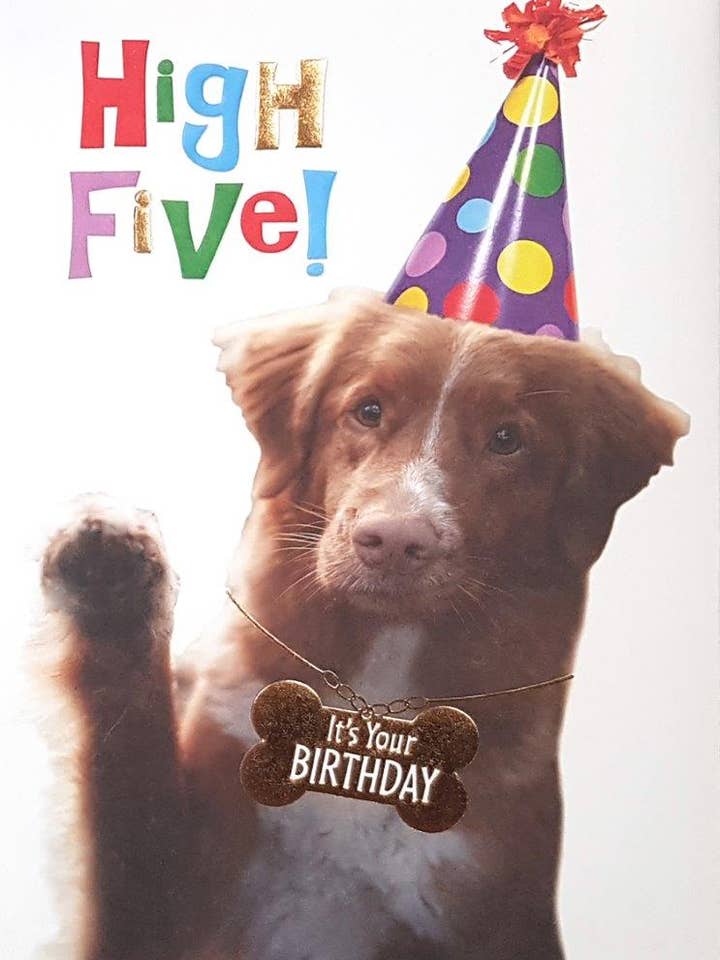 RDG "Just Fur You" Birthday Greeting Cards (3pk) 11329 for wholesale by A-Line Greetings