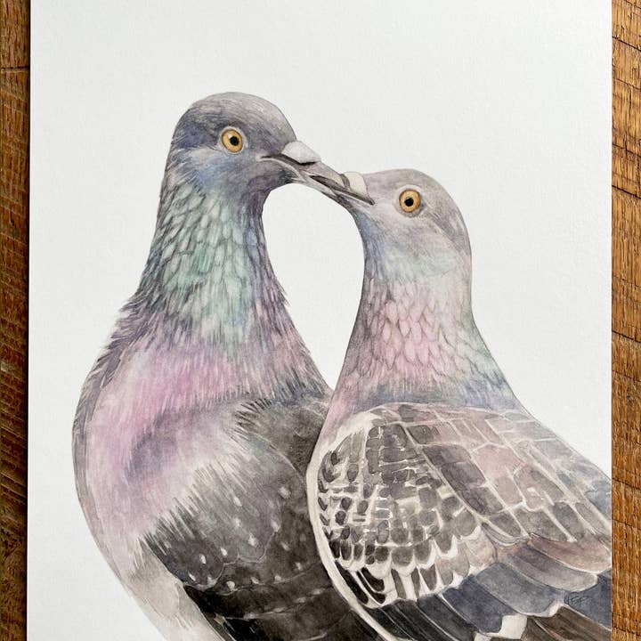 Rock Pigeons - Watercolor Art Print, 8x10 inches for wholesale by Amy Shawley Paquette