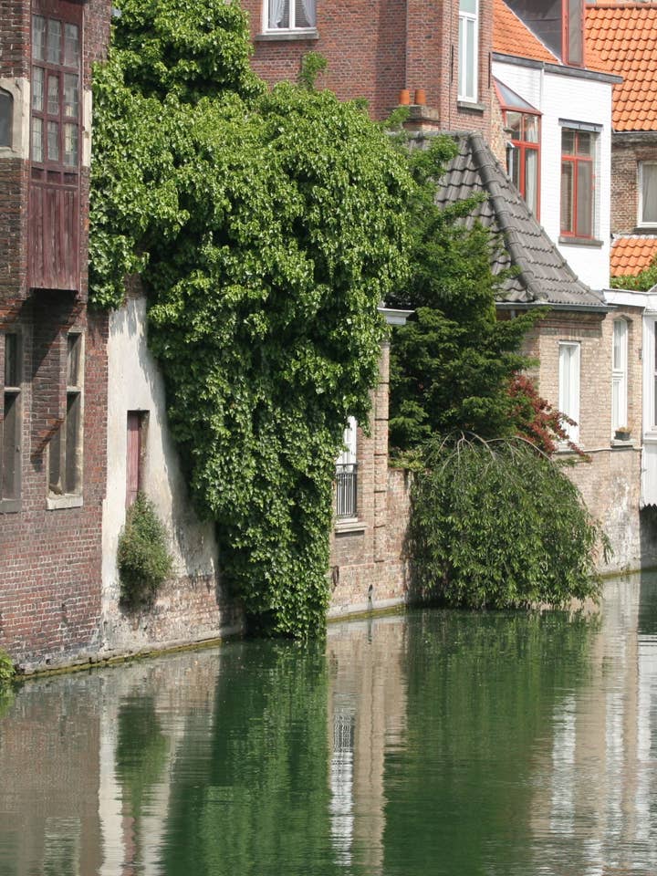 Brügge-Poster - Ruhiger Kanal für den Großhandel von Posters & Puzzles