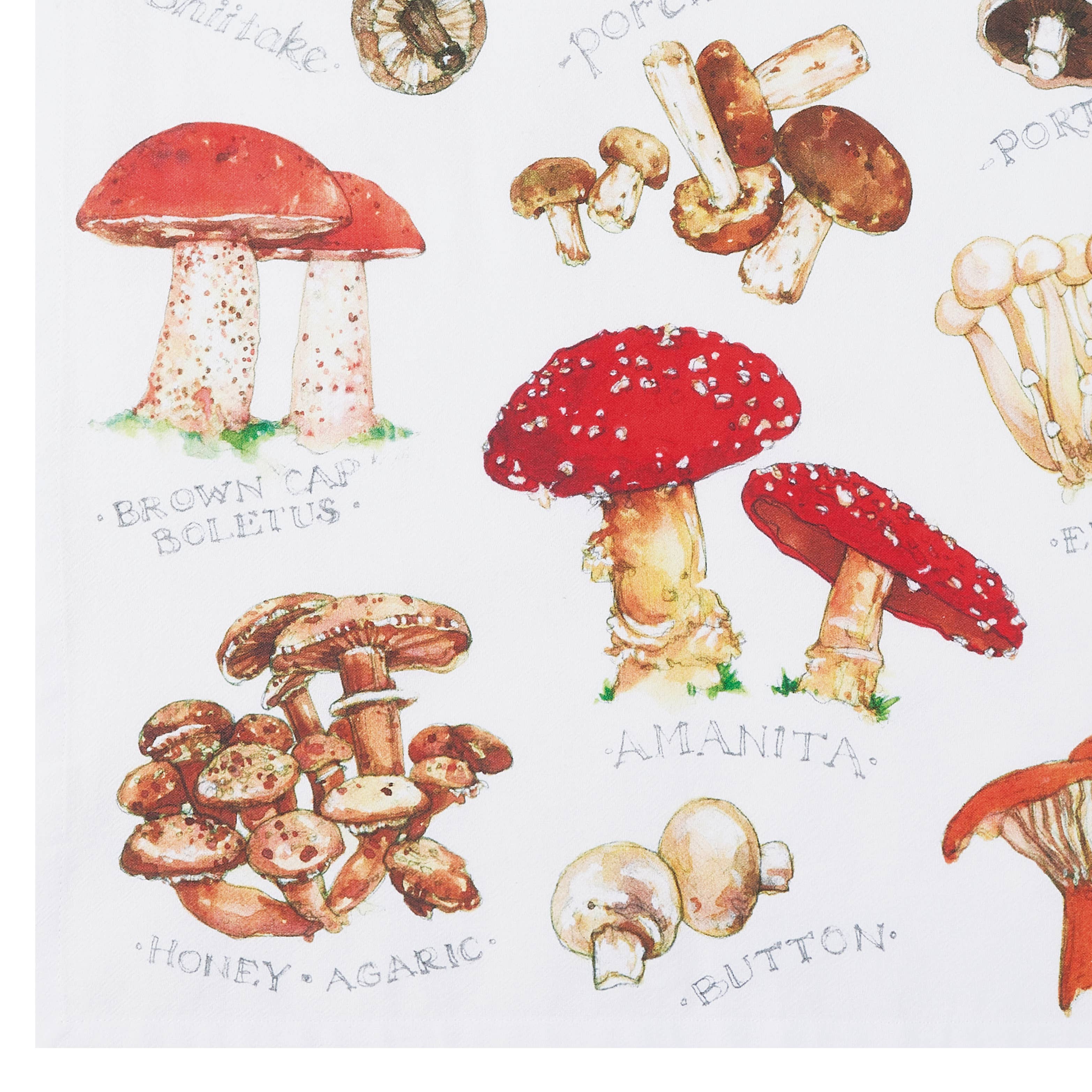 Peking Handicraft - Vente Torchons - Torchon de cuisine champignon Field Guide - Sally Eckman Roberts2