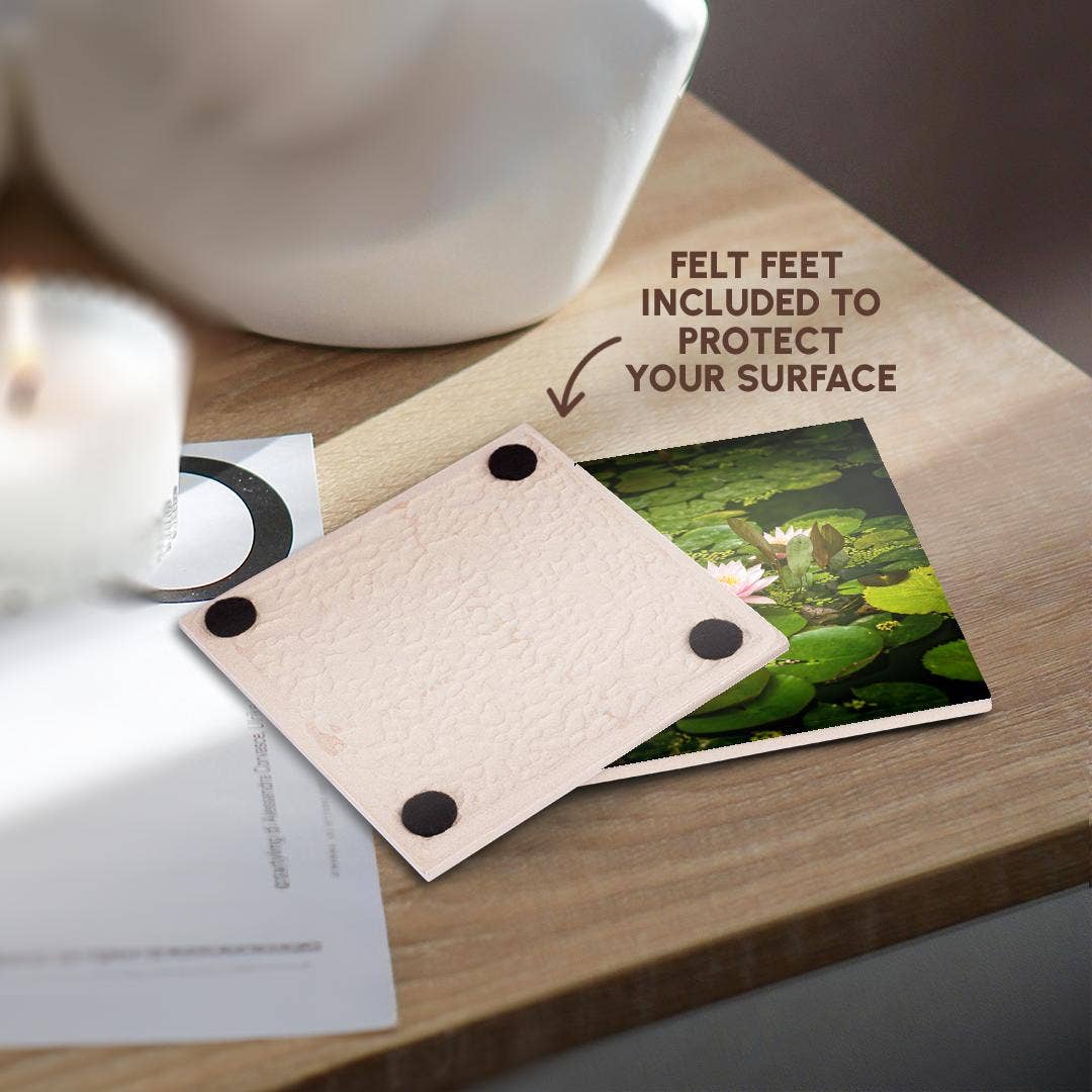 3dRose - Wholesale Coasters - 3dRose, Beautiful pink water lily flower in an artificial pond, Coaster3