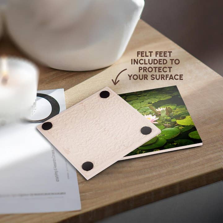 3dRose - Wholesale Coasters - 3dRose, Beautiful pink water lily flower in an artificial pond, Coaster3