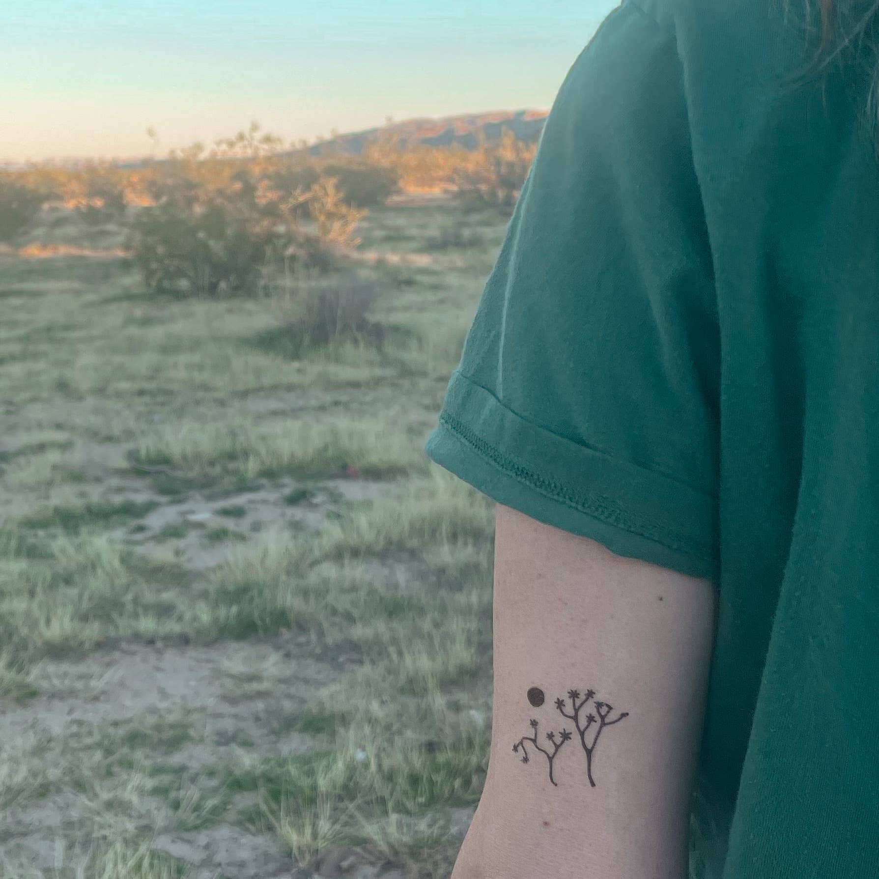 Amber Morgan - Wholesale Temporary Tattoo - Joshua Tree Temporary Tattoo Sheet1