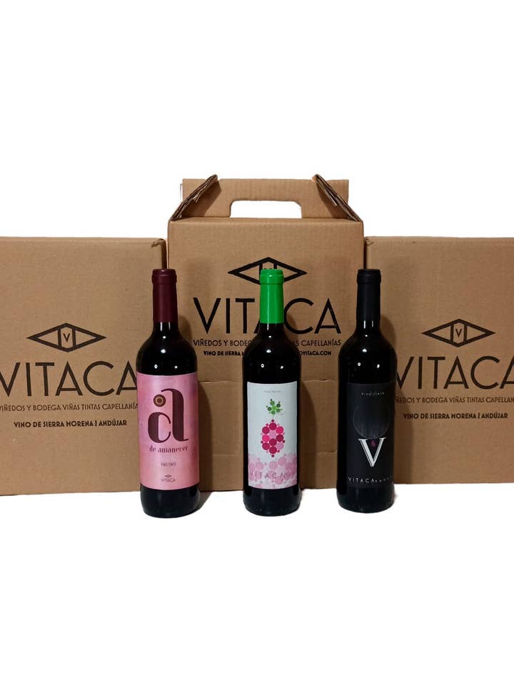 VITACA TASTING BOX for wholesale by VINO VITACA