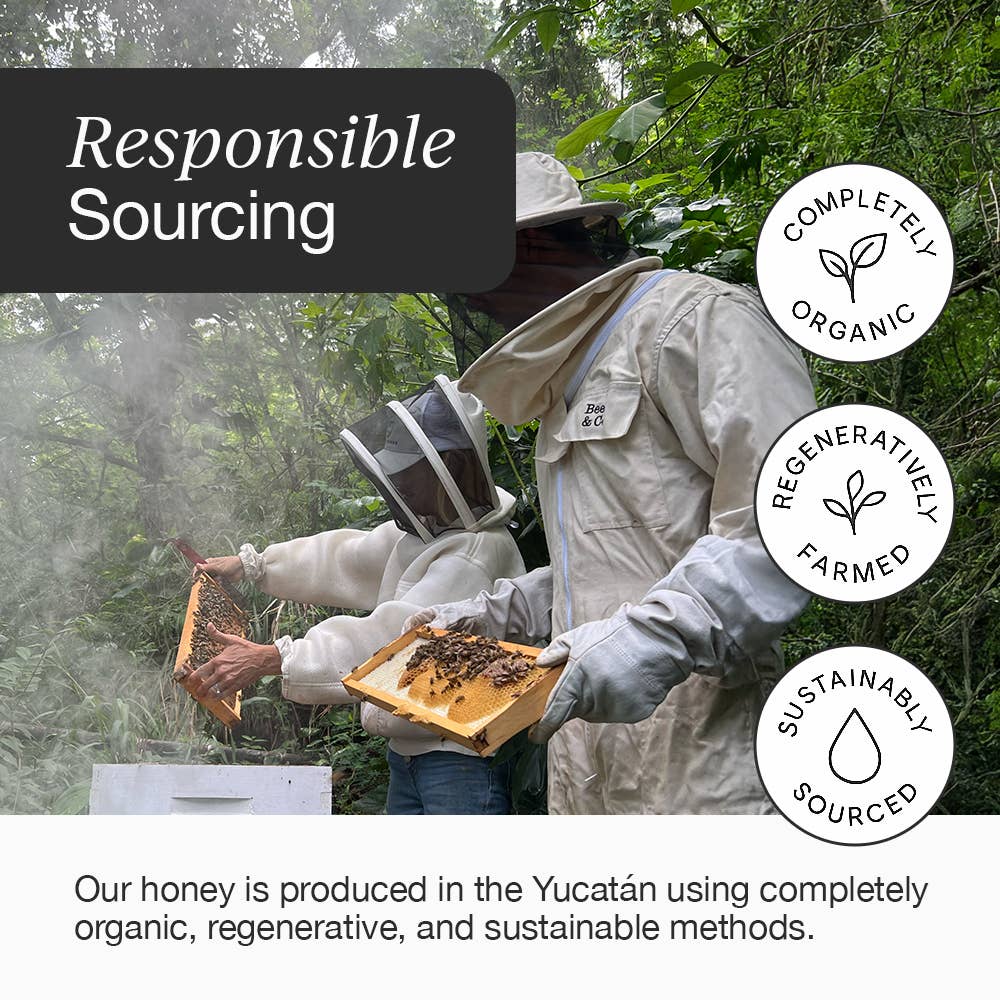 HNY+ - Wholesale Oral Supplement/Vitamin - HNY+ Energy Honey | Buzz Energy Gel 24-Pack | 50mg Caffeine4