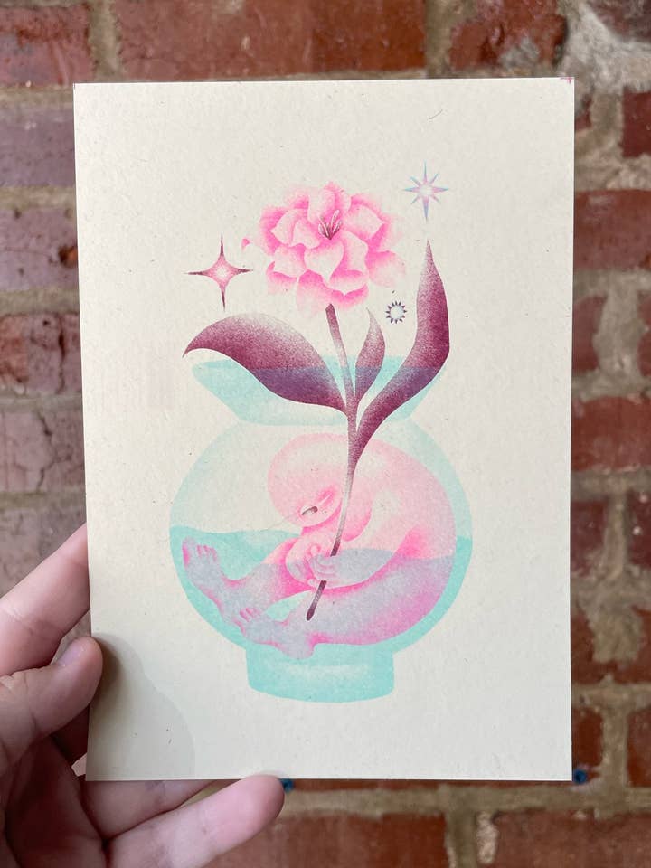 vase fish (jasmine) for wholesale by swan meadow