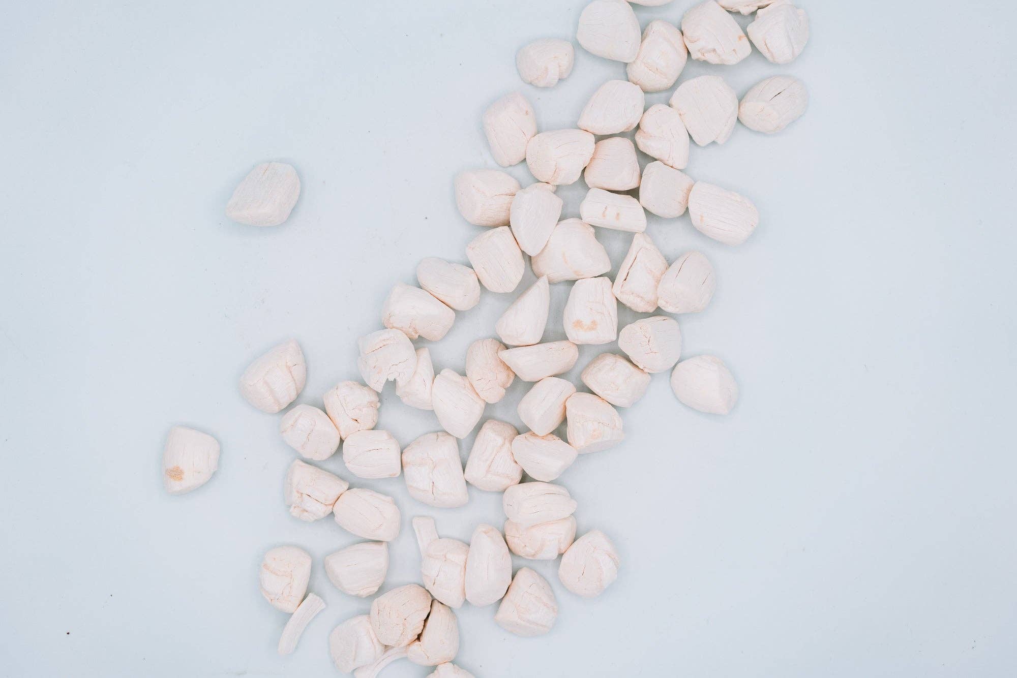 Wild n Fresh Treats - Wholesale Pet Treats - Dog - Freeze-Dried Scallops2