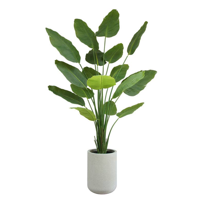 CG Hunter - Wholesale Artificial Plant - 8' Bird of Paradise Tree in Modern Gray Planter10
