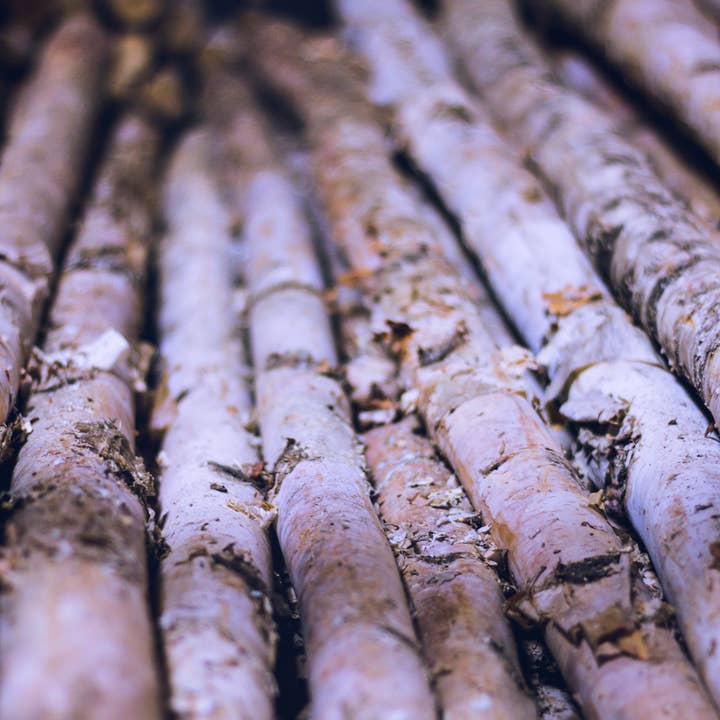 Winter Woods - Wholesale Craft Supplies - Birch Poles