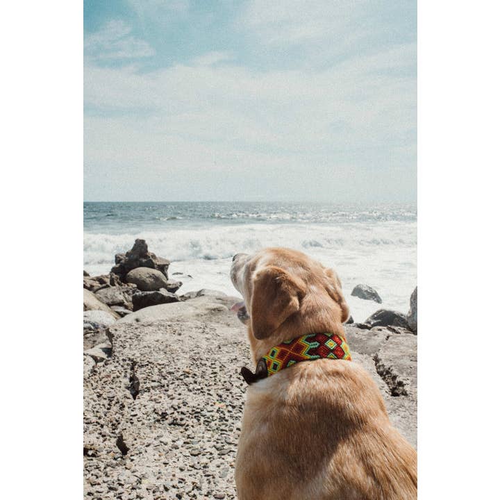 MyMexicanHome - Wholesale Pet Collar - Dog - M (37-41cm) Leather Dog Collar Colorful Knitted Boho Style