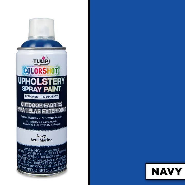 Tulip - Wholesale Paint Set - Tulip ColorShot Outdoor Navy