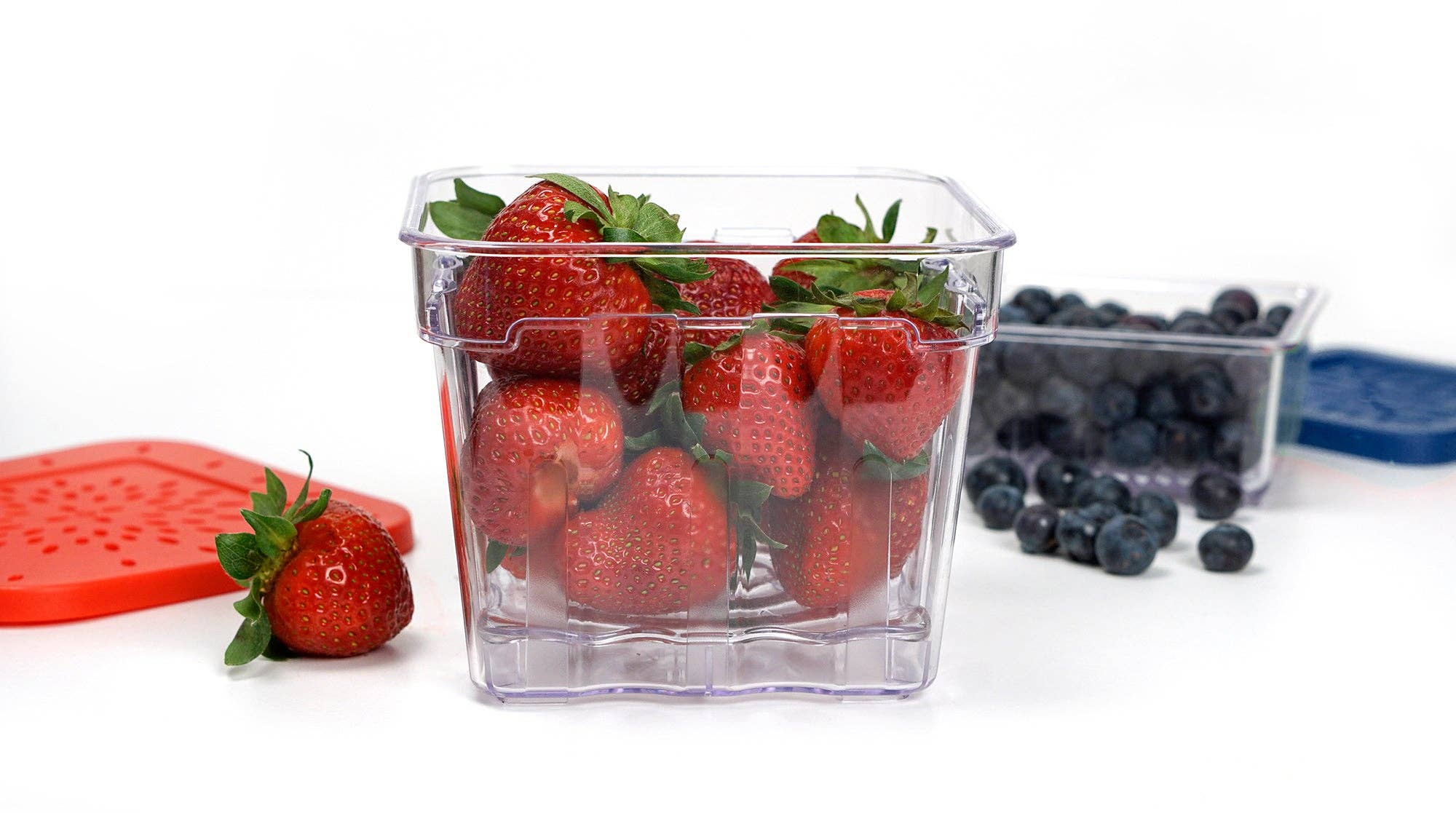 RSVP International - Wholesale Food Storage Container - Berry Keepers  Set Of 26