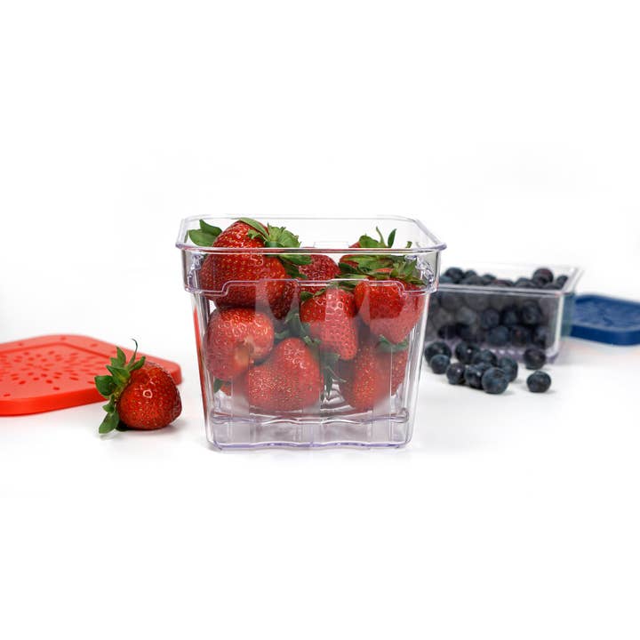 RSVP International - Wholesale Food Storage Container - Berry Keepers Set Of 26