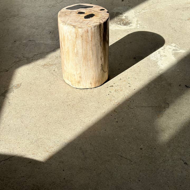 Office Objets - Wholesale Side Table - White petrified wood side table with black spots H:27.5 D:1834
