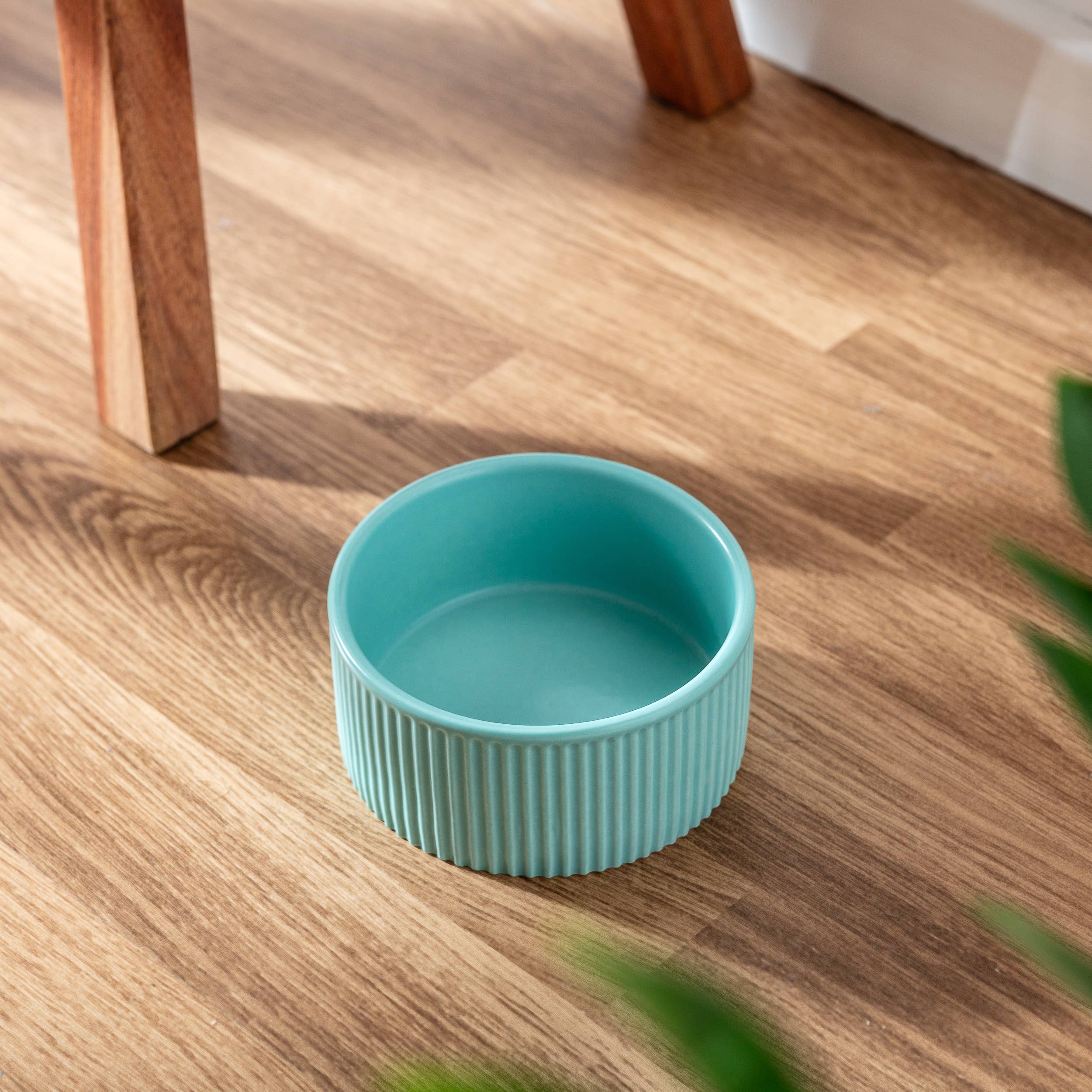 Park Life Designs - Wholesale Pet Bowl - Cat/Dog - JARDIN Ribbed Pet Bowl Collection – Modern Matte Exterior2