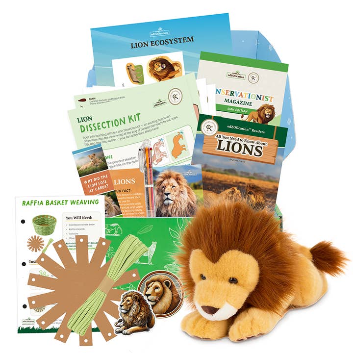 Lion Conservationist Box (Age 9-12) for wholesale by Wildlife Tree