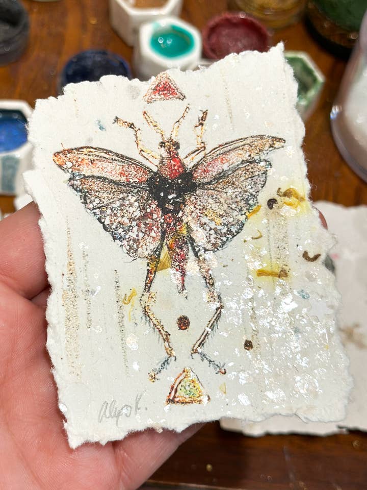 Grasshopper Print on Handmade Paper / ACEO for wholesale by Alexa K
