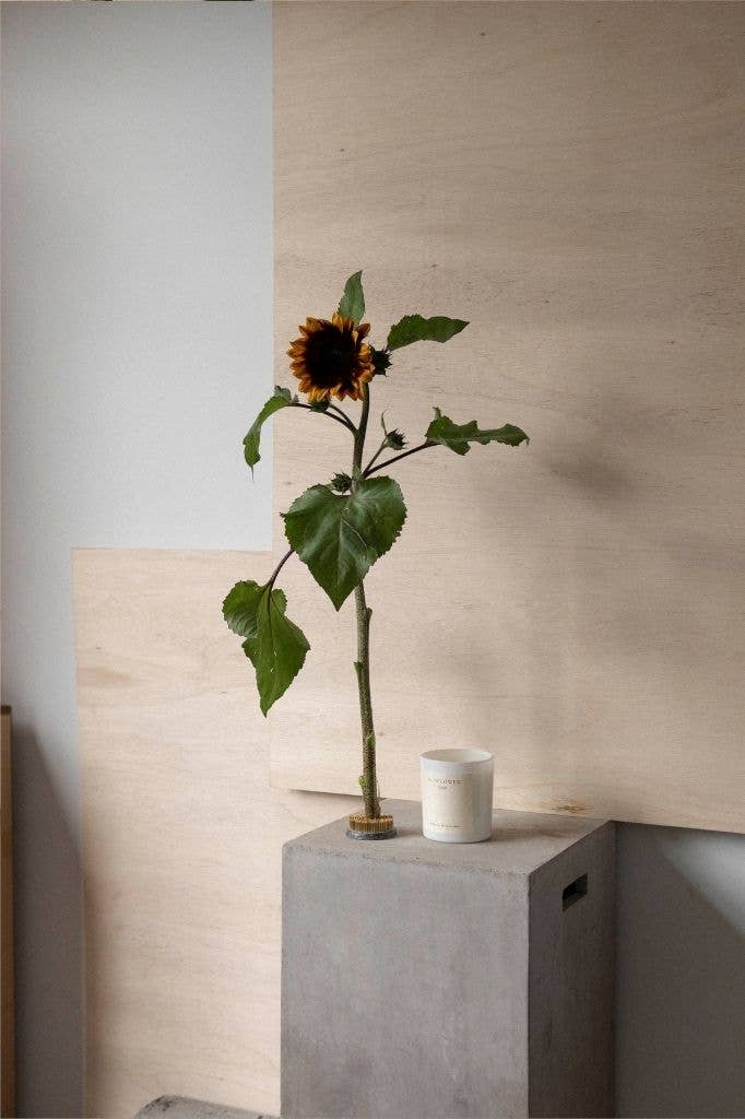 Studio Sol Store - Wholesale Jar/Filled Candle - Sunflower Candle | Loyalty3